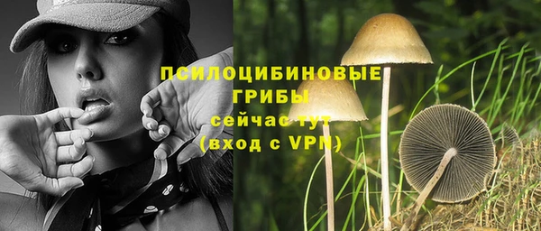 скорость Яровое