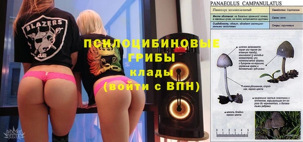 прущие крисы Яранск